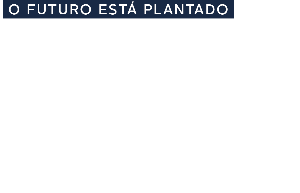 O futuro está plantado